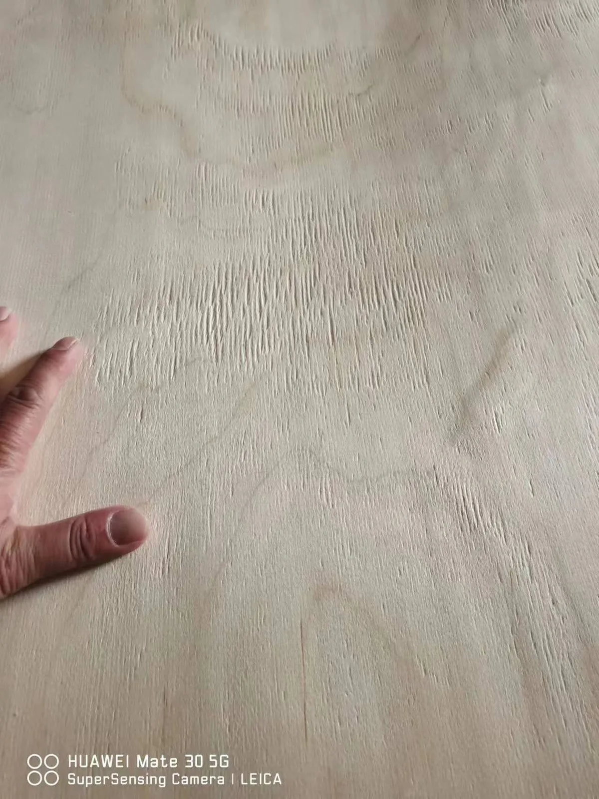 Birch veneer sheets