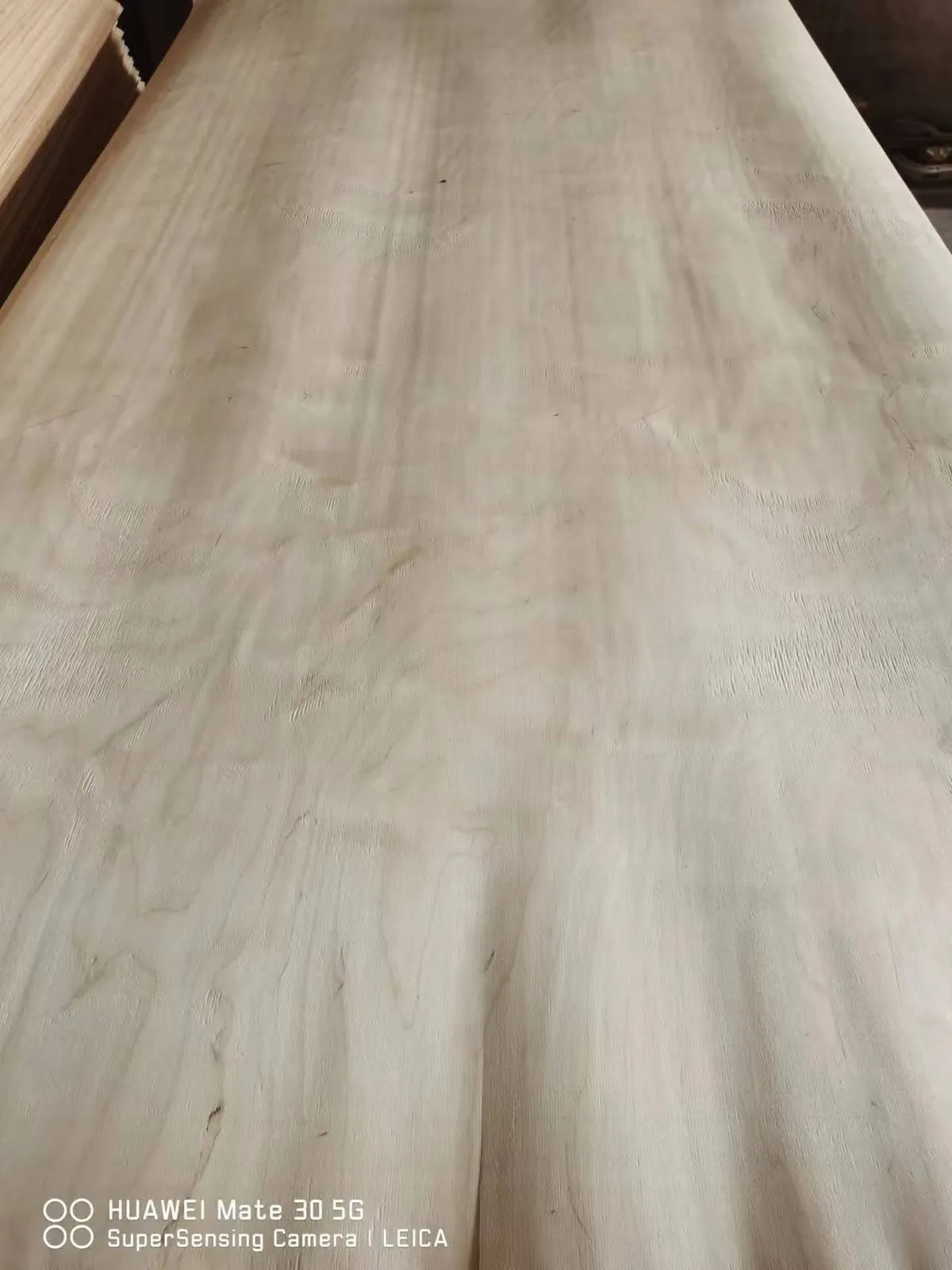 Birch veneer sheet