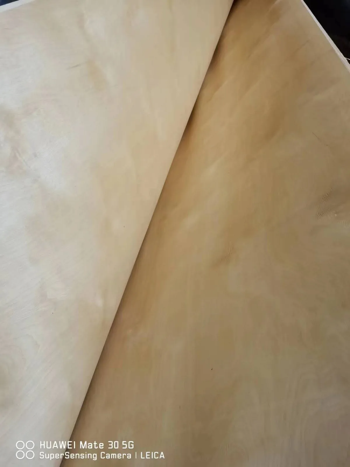 Natural birch veneer sheet