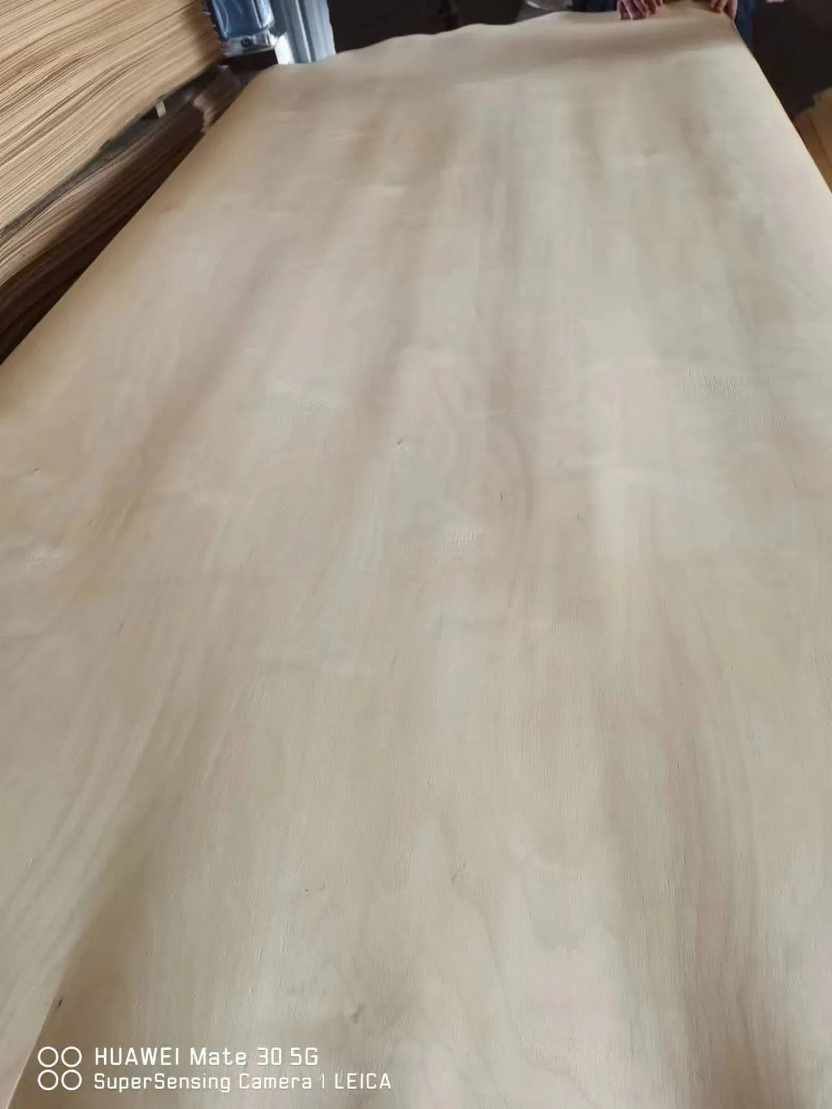 Natural 1.5mm birch veneer sheet