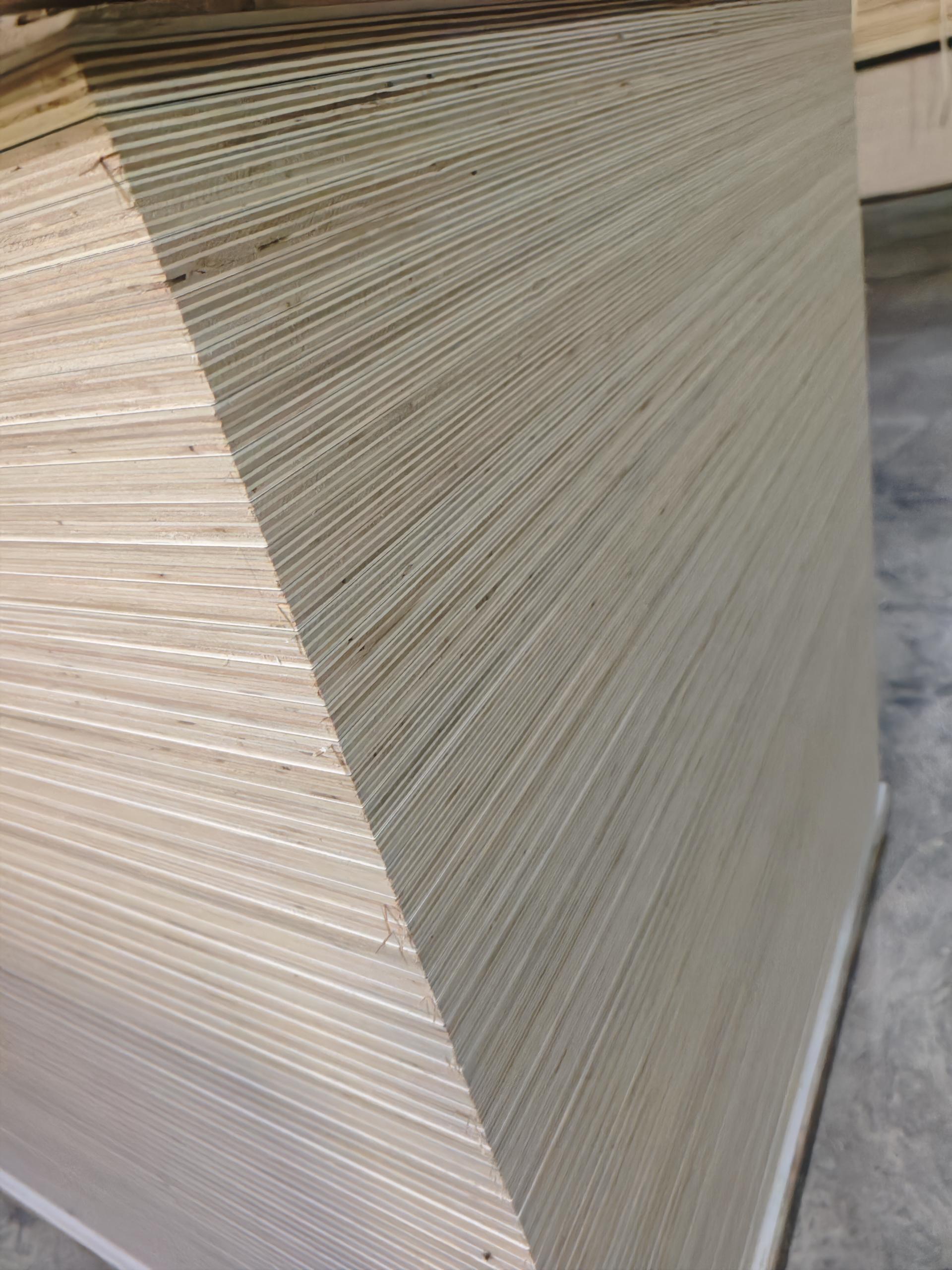 Commercial Plywood