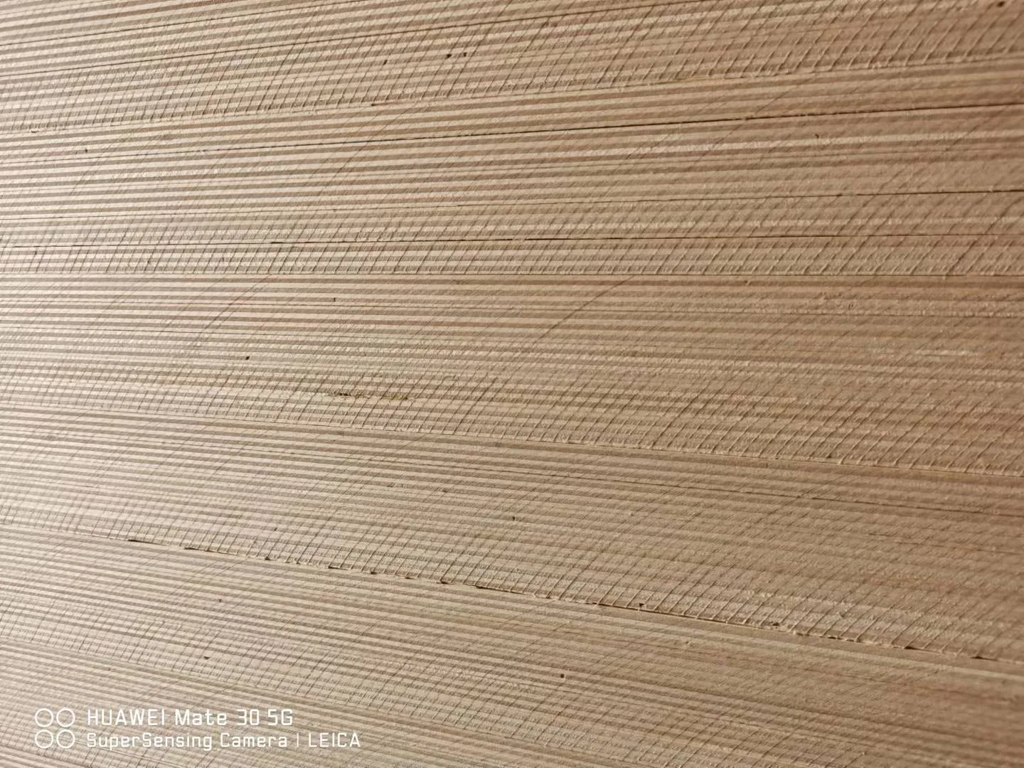 Full birch plywood edge showing birch veneer layers