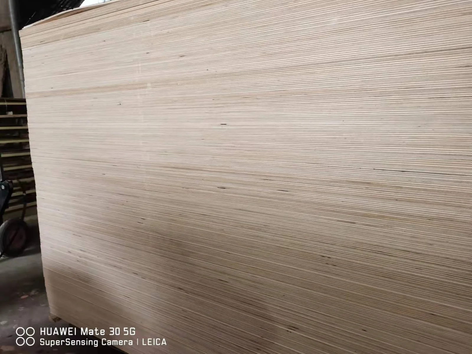 Full birch plywood edge detail with birch veneer throughout