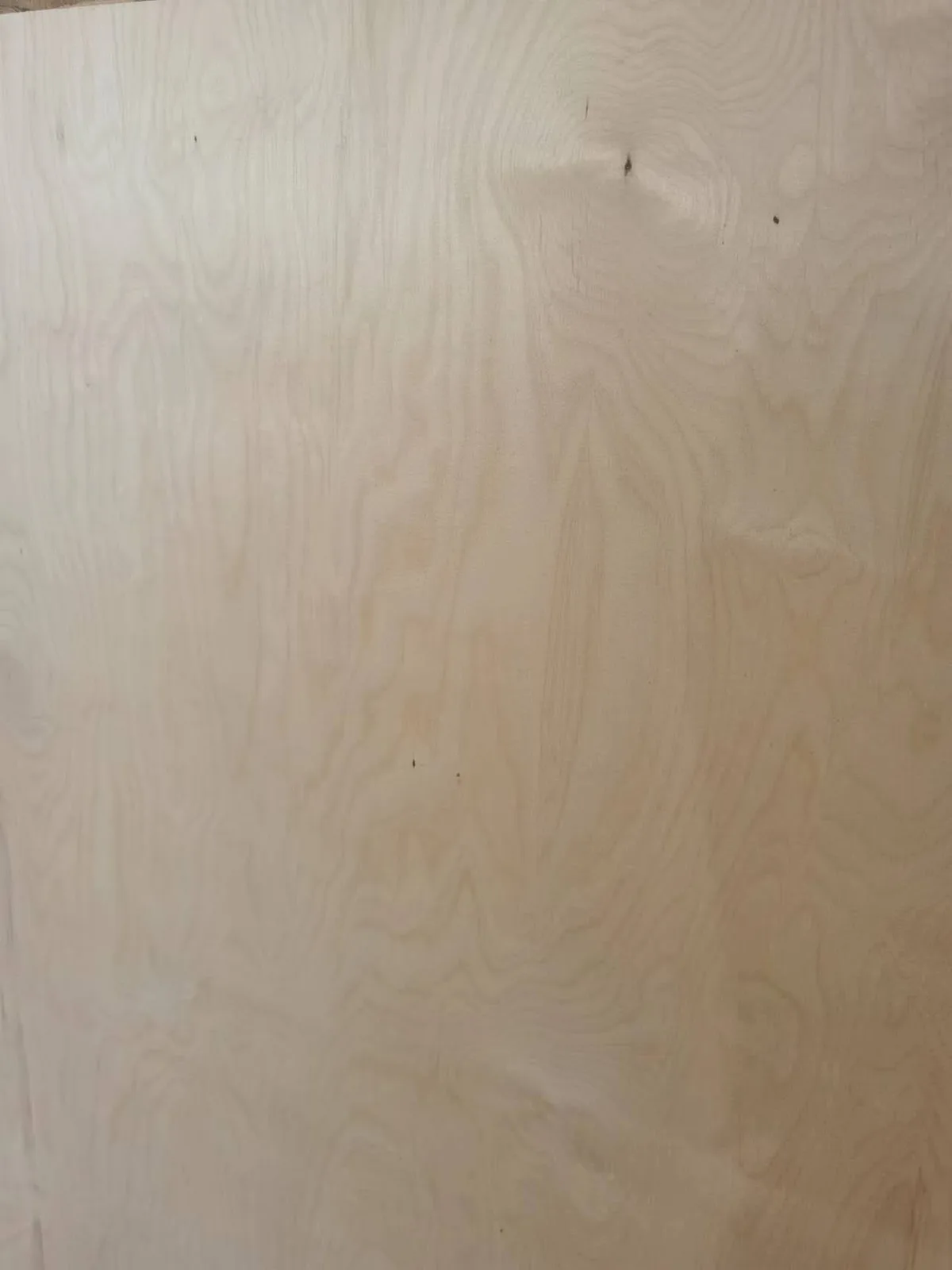 Full birch plywood edge showing birch veneer layers