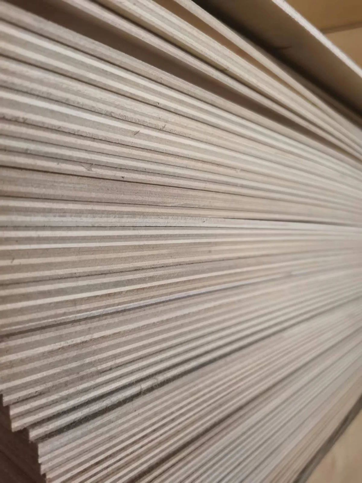 Full birch plywood edge showing birch veneer layers
