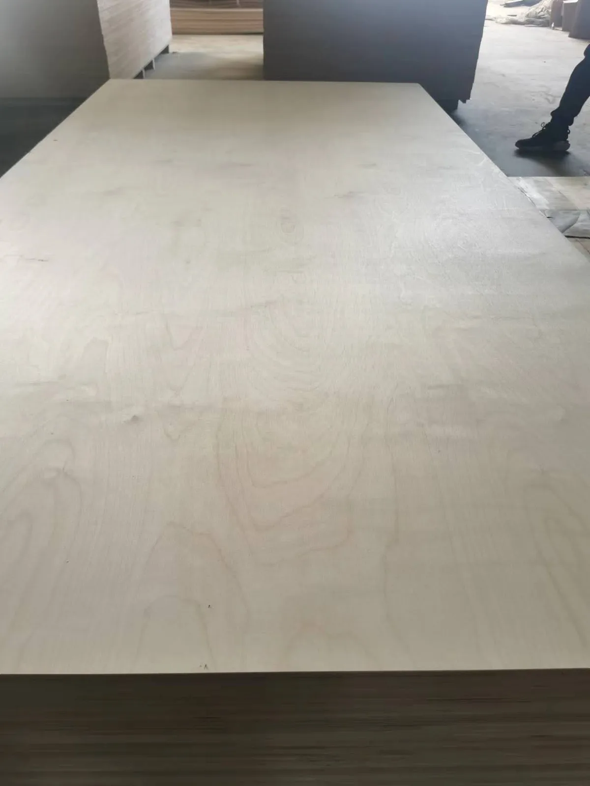 Full birch plywood edge showing birch veneer layers