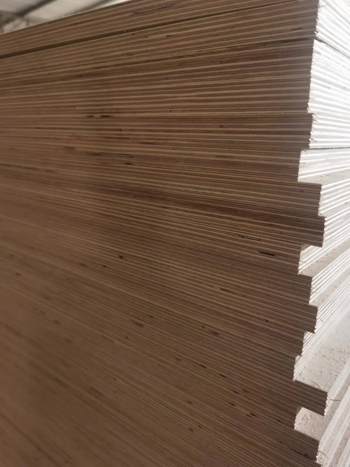 Full birch plywood edge showing birch veneer layers