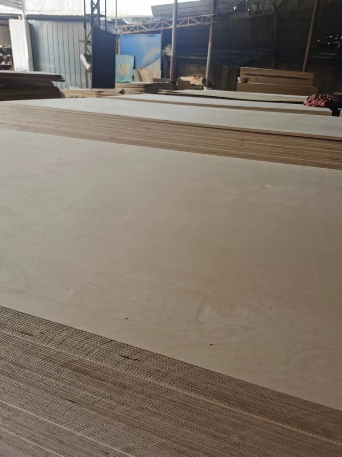 Full birch plywood edge showing birch veneer layers