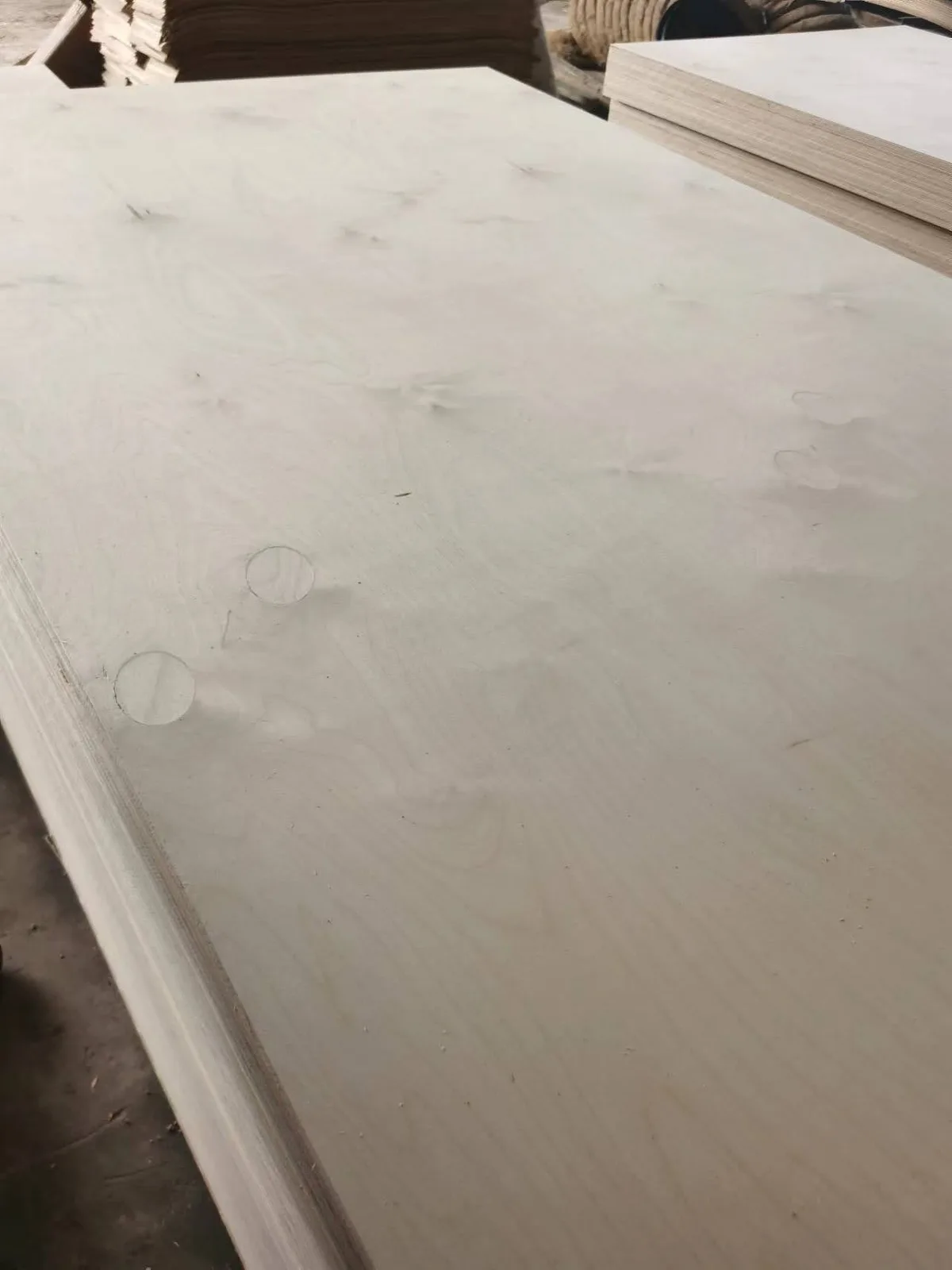 Full birch plywood edge showing birch veneer layers