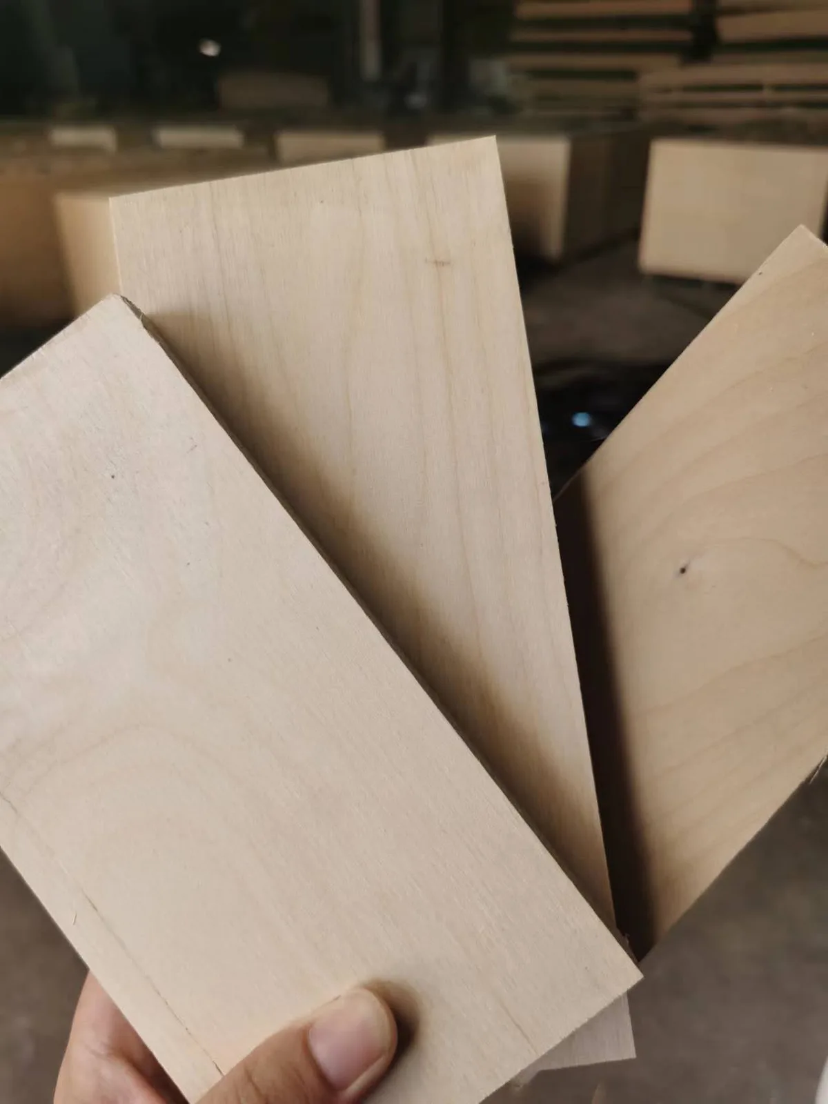 Full birch plywood production
