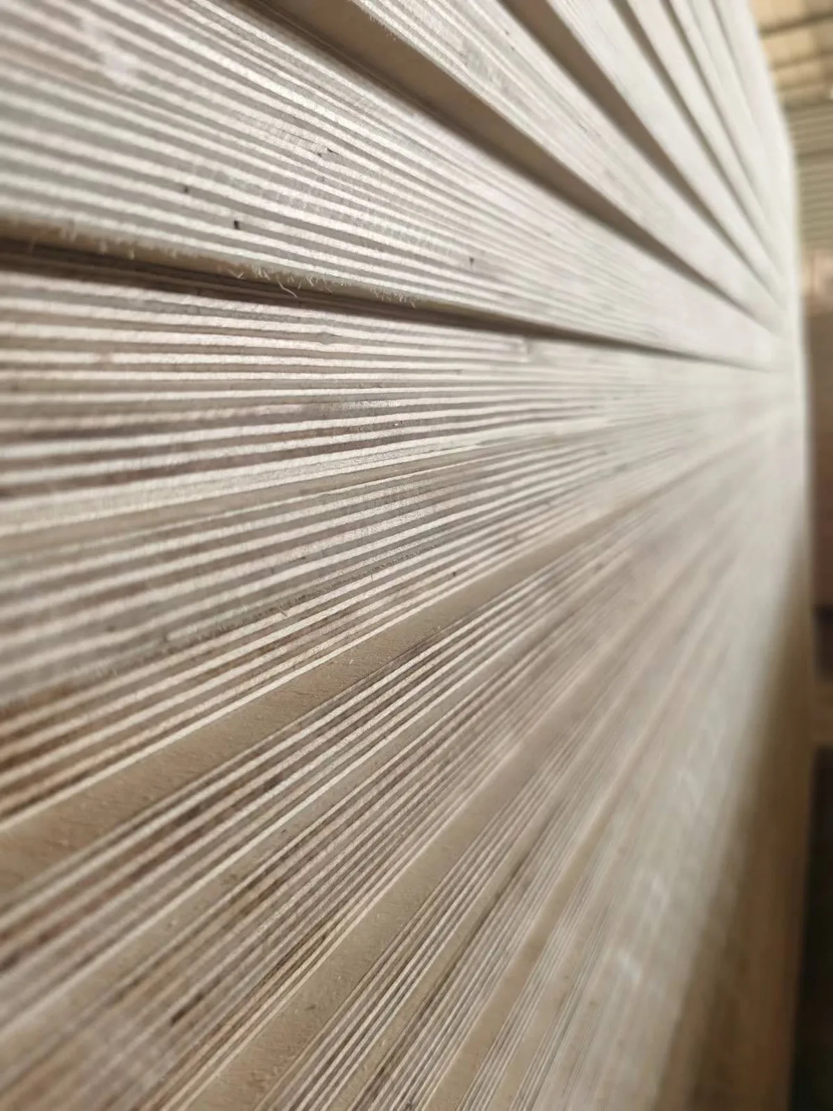 Full birch plywood surface grain