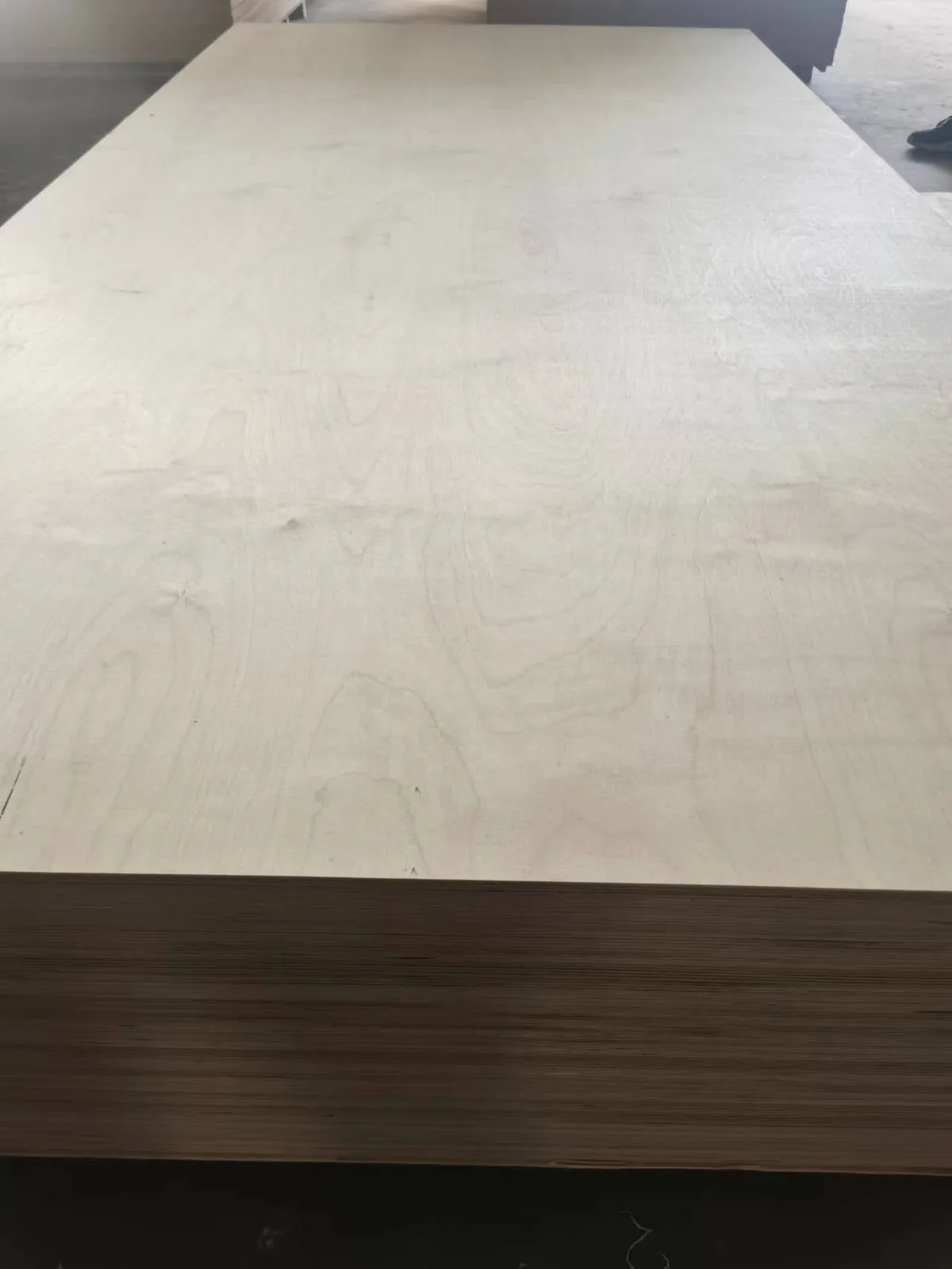 Full birch plywood surface grain
