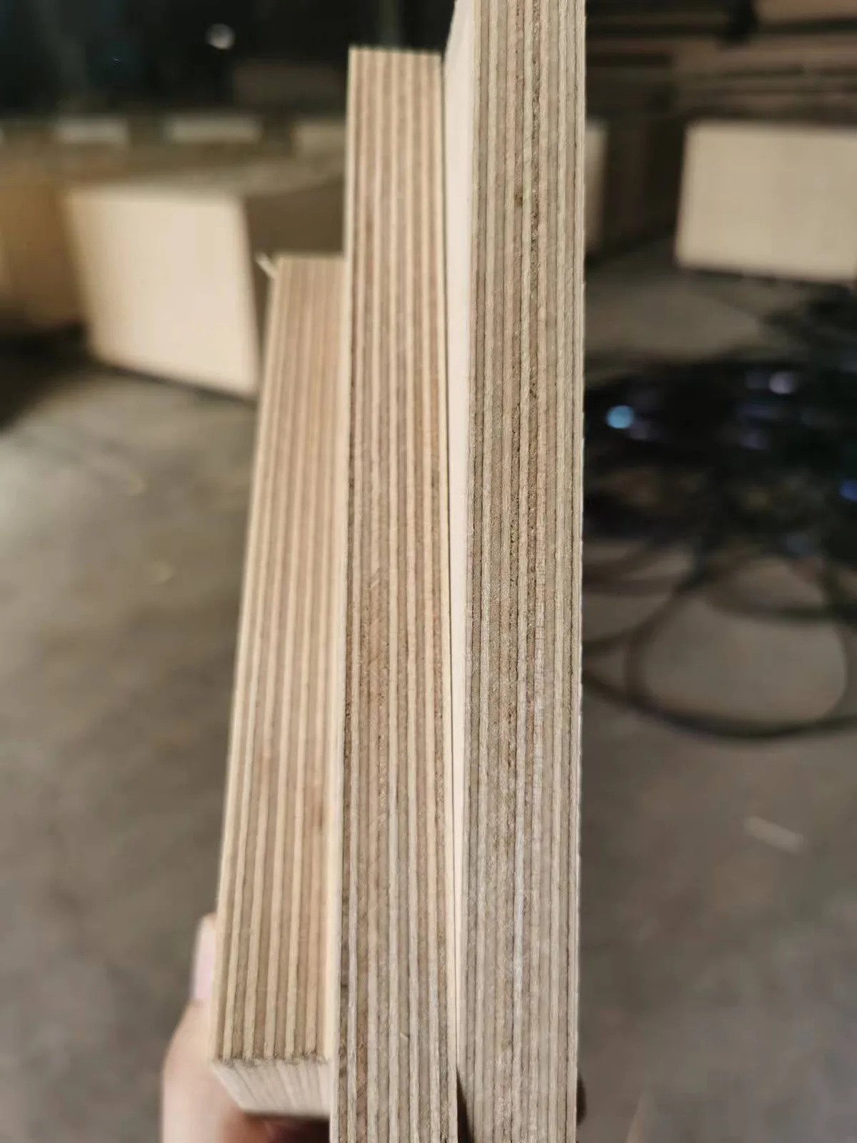 Full birch plywood surface grain