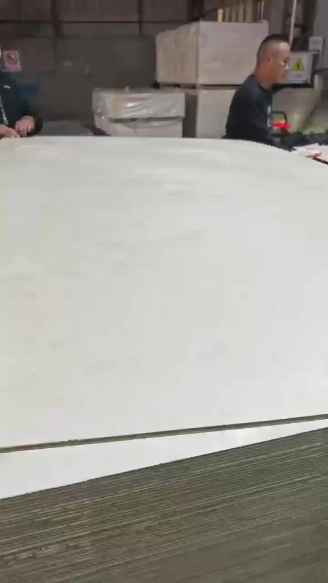 Full birch plywood surface grain