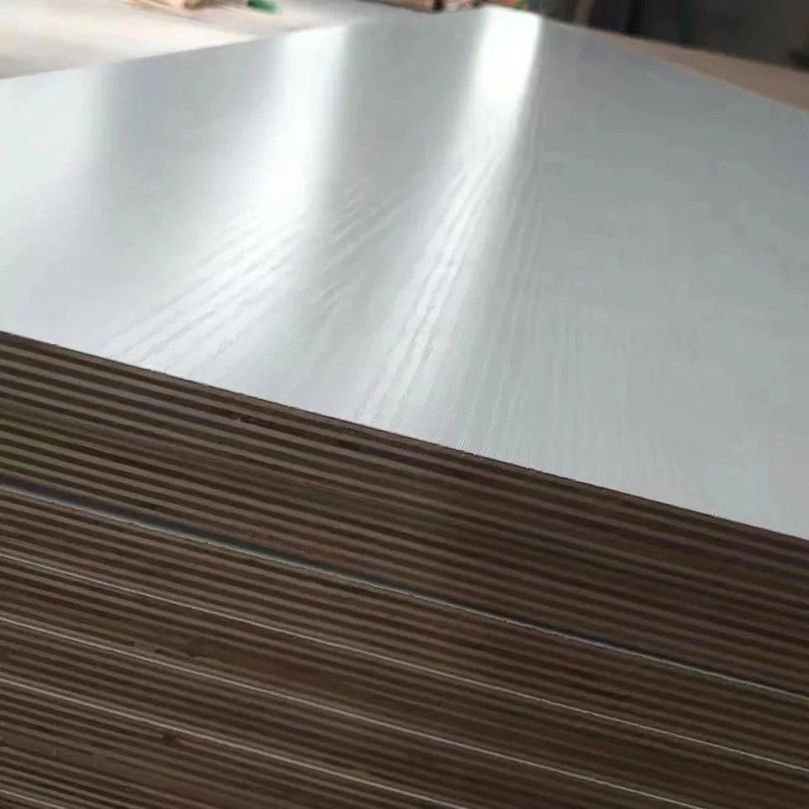 HPL Laminated Plywood Product Photo