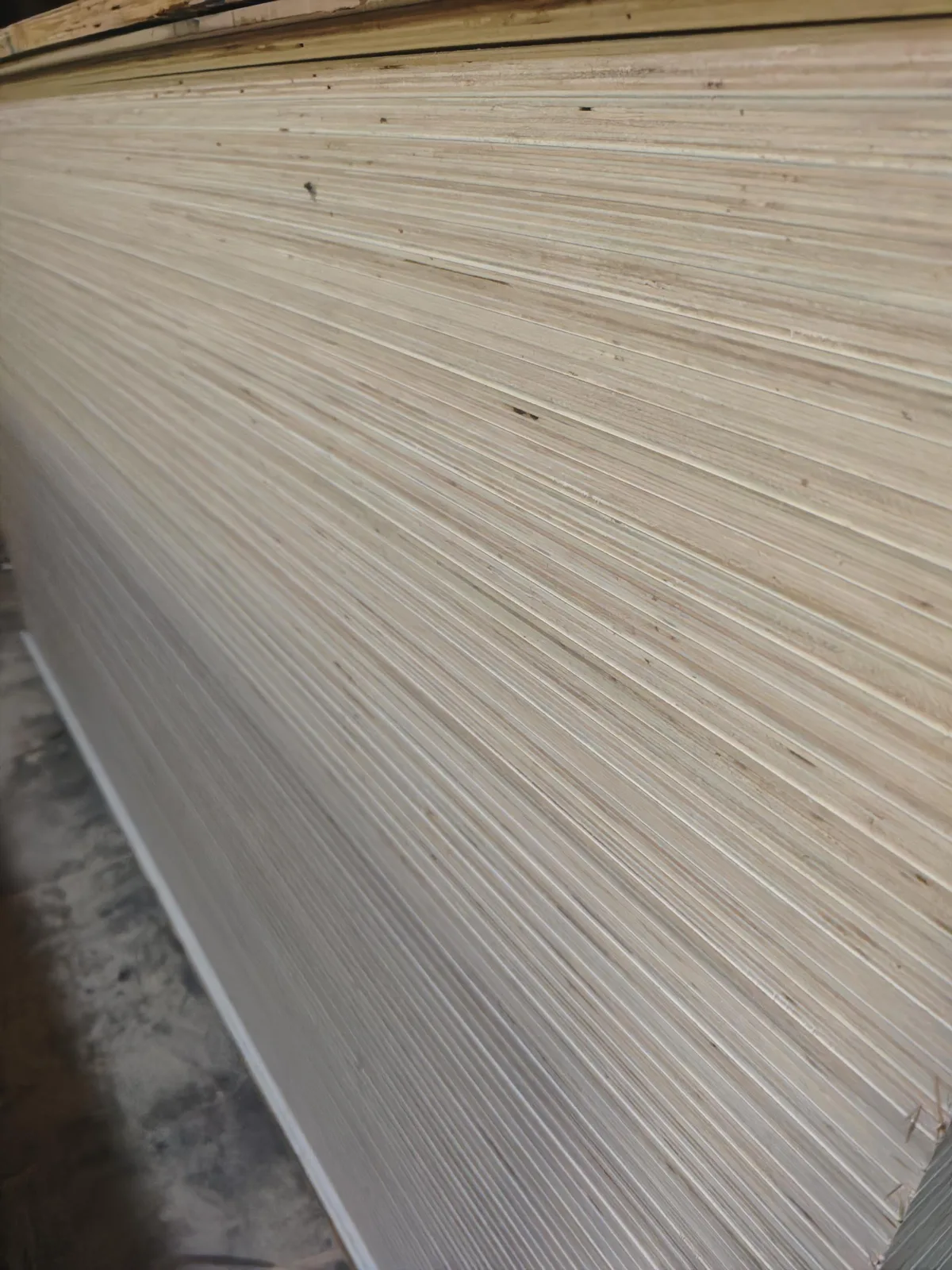 Rose eucalyptus faced plywood back surface