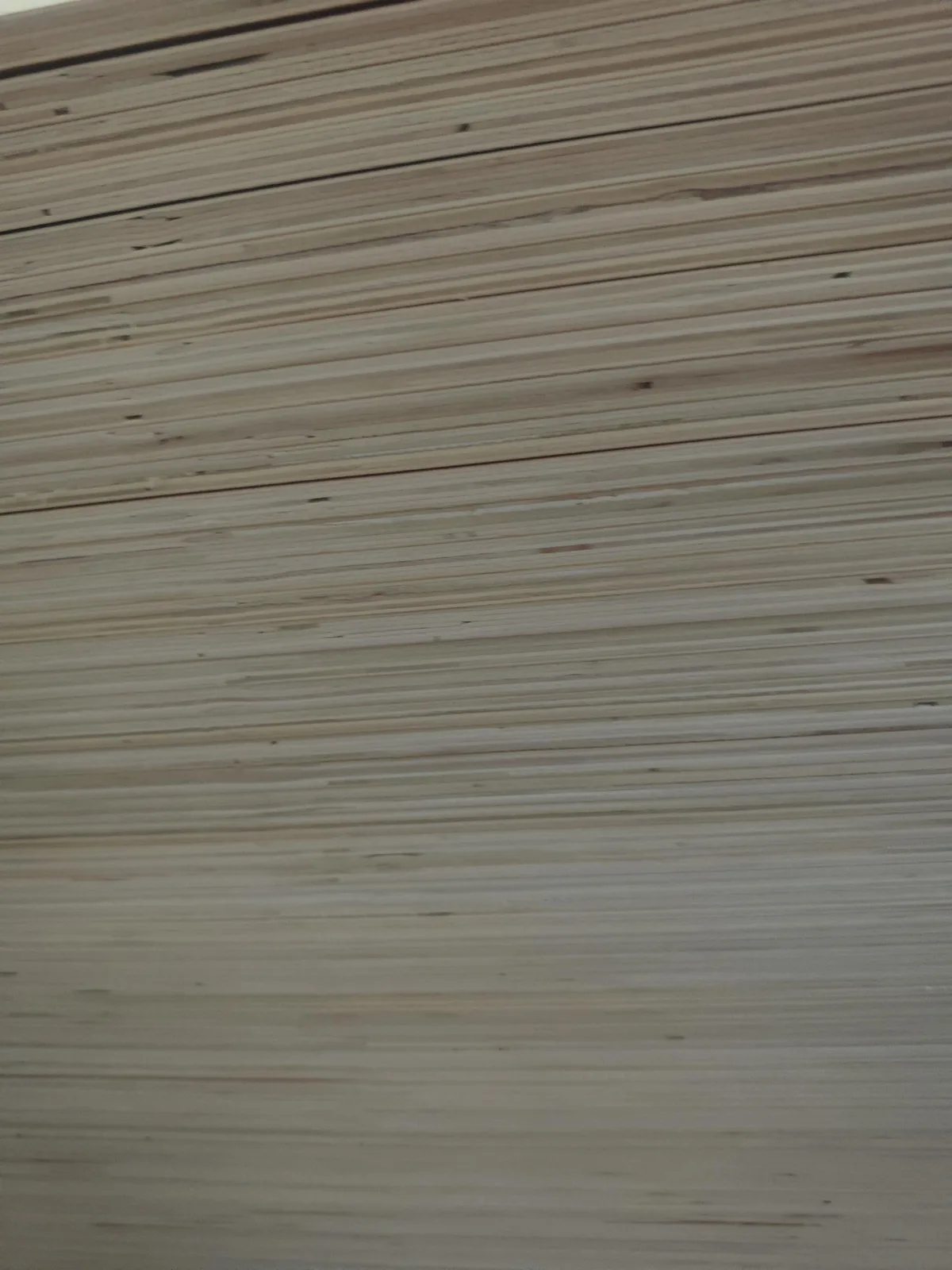 Rose eucalyptus plywood edge showing core structure