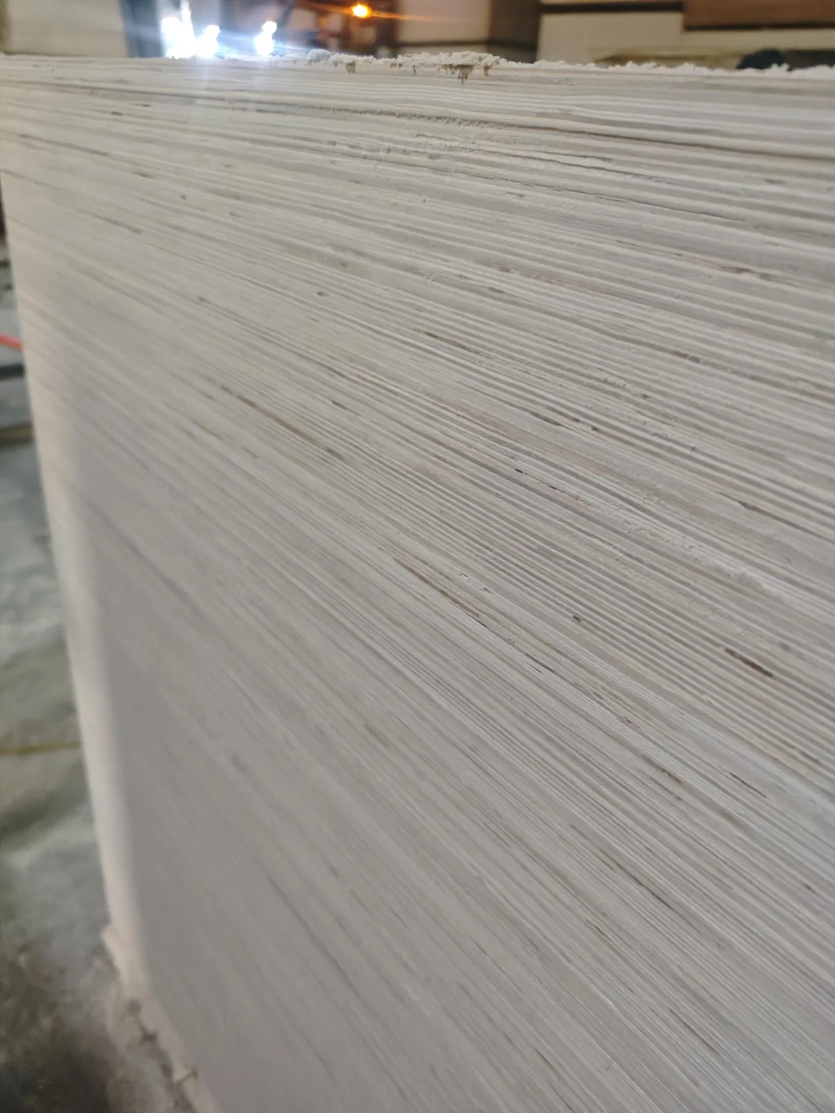 Rose eucalyptus plywood edge showing core structure