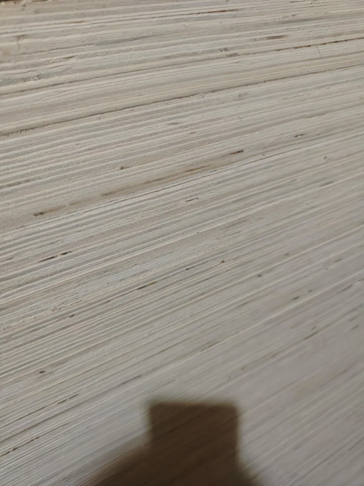 Rose eucalyptus plywood edge showing core structure