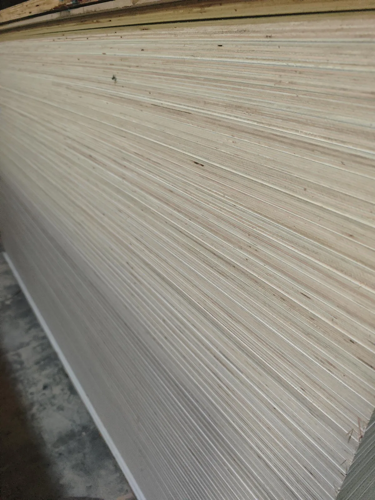 Rose eucalyptus faced plywood edge detail