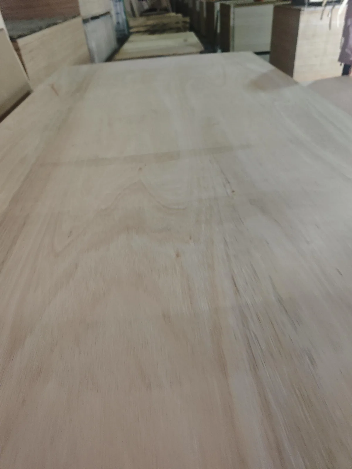Rose eucalyptus faced commercial plywood panel