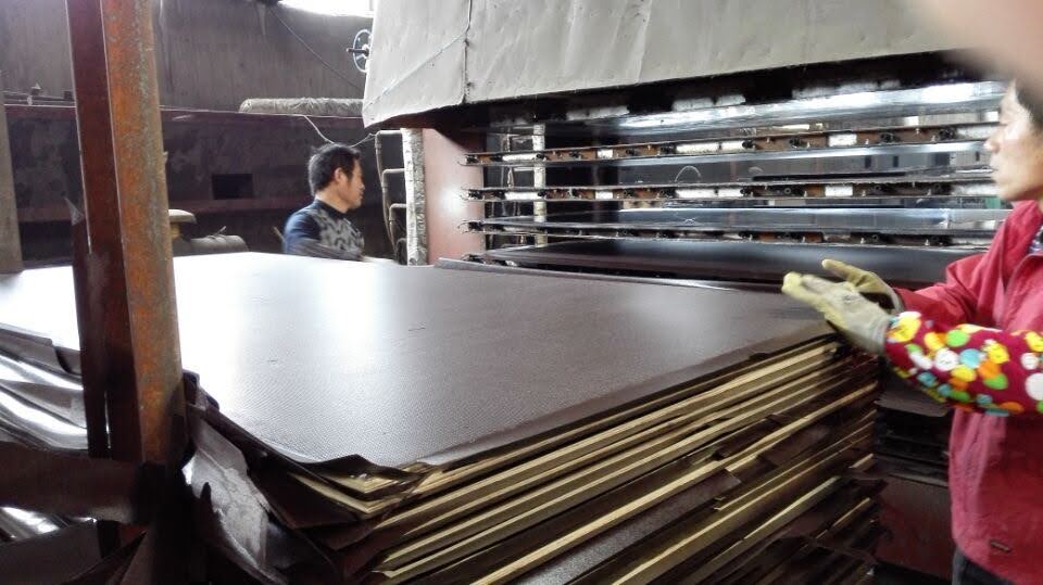 Anti-Slip Plywood