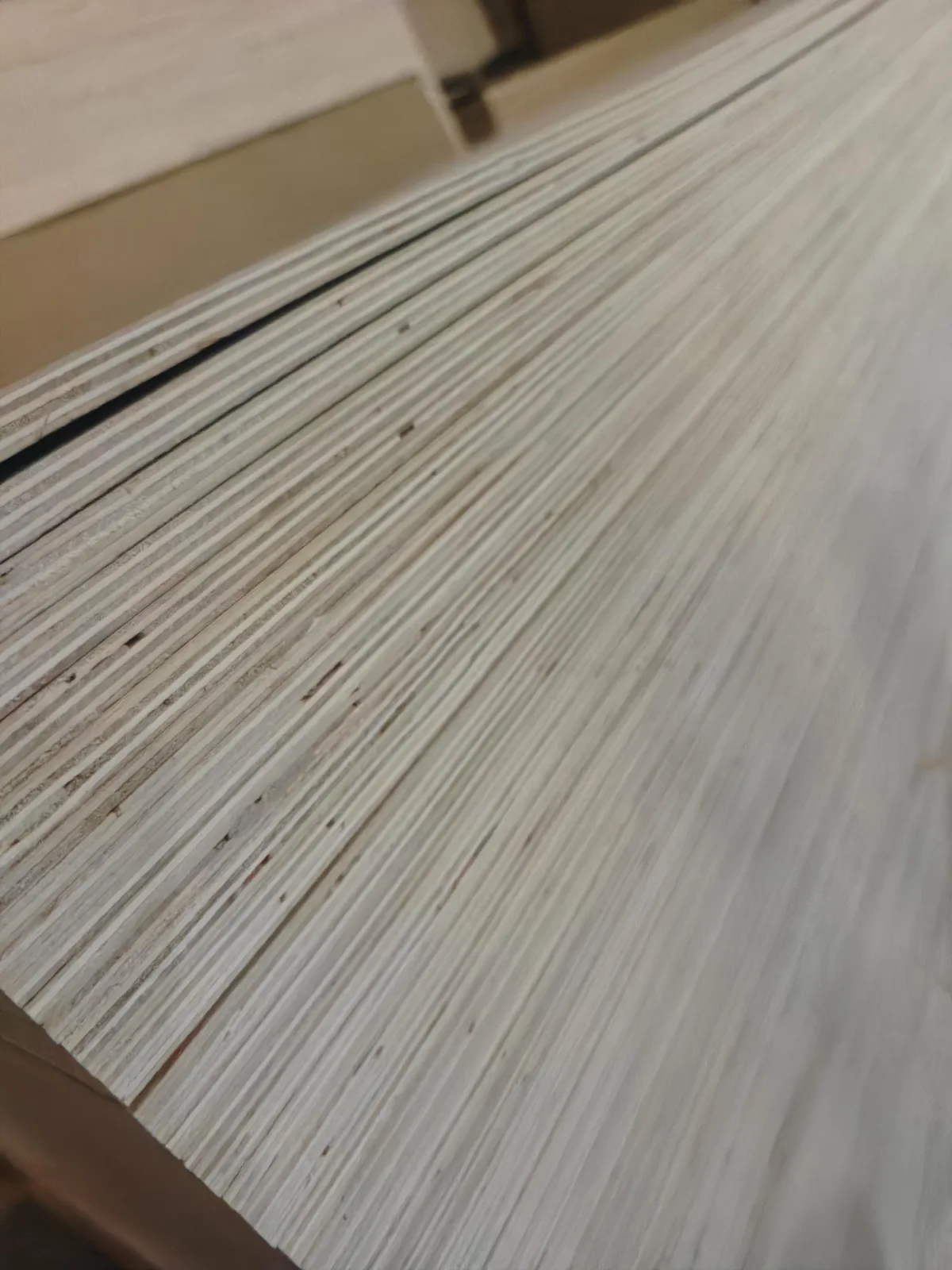 Eucalyptus panel for RFQ-2026-0001