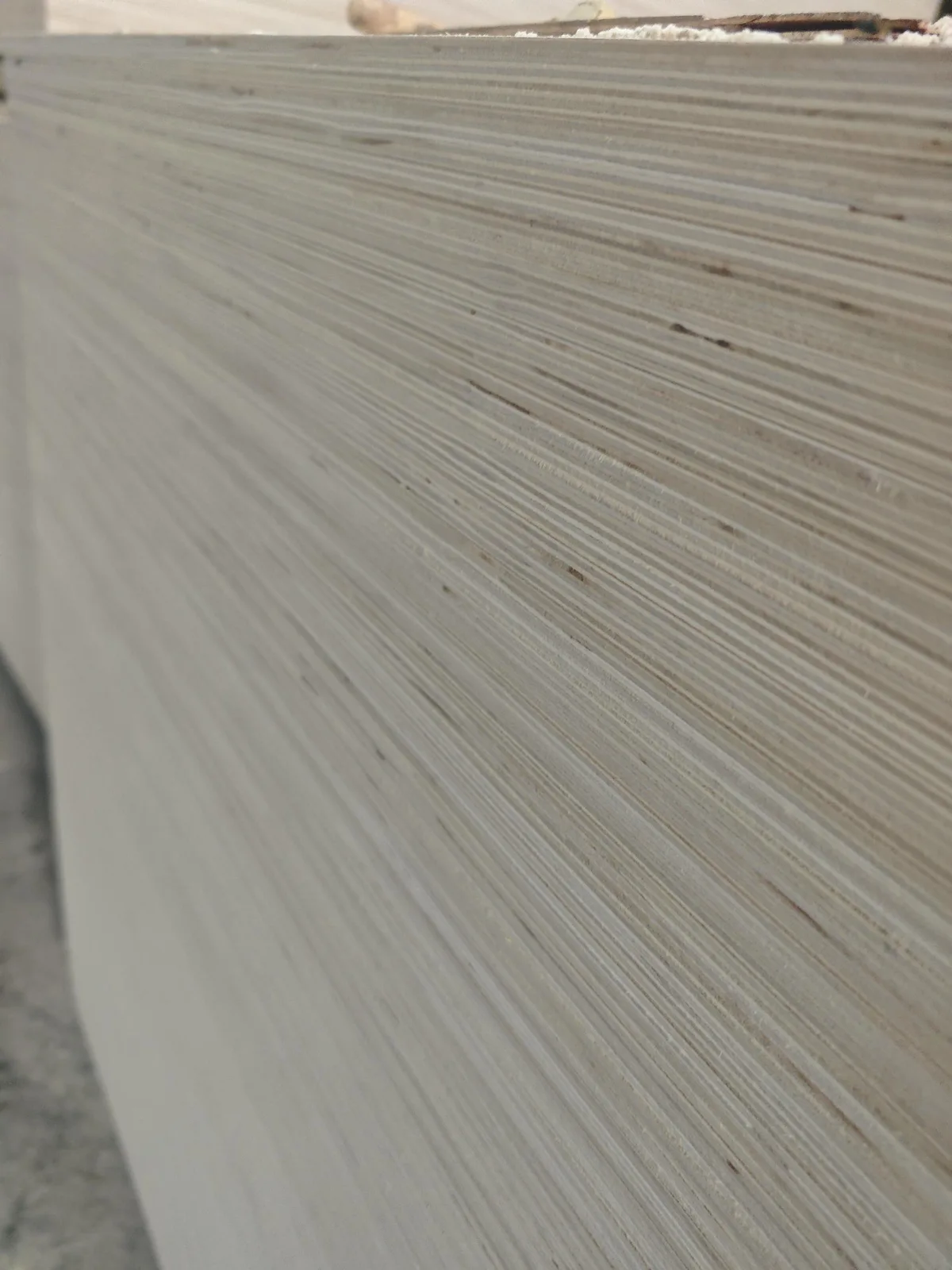 Eucalyptus plywood panel used in RFQ-2026-0001